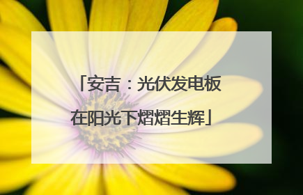 安吉：光伏发电板在阳光下熠熠生辉