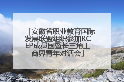 安徽省职业教育国际发展联盟组织参加RCEP成员国暨长三角工商界青年对话会