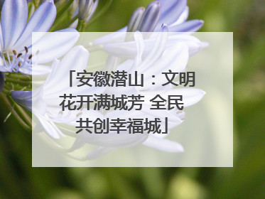 安徽潜山：文明花开满城芳 全民共创幸福城