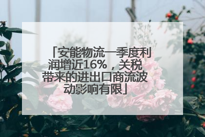 安能物流一季度利润增近16%，关税带来的进出口商流波动影响有限