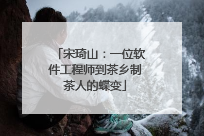 宋琦山：一位软件工程师到茶乡制茶人的蝶变