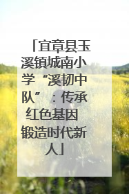宜章县玉溪镇城南小学“溪韧中队”：传承红色基因 锻造时代新人