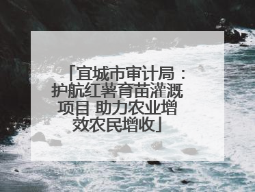 宜城市审计局：护航红薯育苗灌溉项目 助力农业增效农民增收