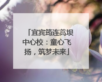 宜宾筠连蒿坝中心校：童心飞扬，筑梦未来