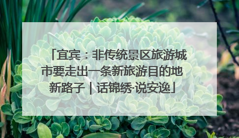 宜宾：非传统景区旅游城市要走出一条新旅游目的地新路子｜话锦绣·说安逸
