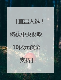 宜昌入选！将获中央财政10亿元资金支持