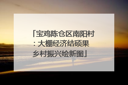宝鸡陈仓区南阳村：大棚经济结硕果 乡村振兴绘新图
