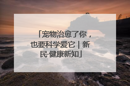 宠物治愈了你，也要科学爱它｜新民·健康新知