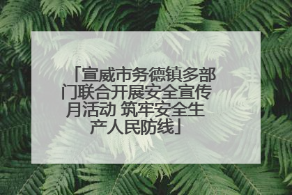 宣威市务德镇多部门联合开展安全宣传月活动 筑牢安全生产人民防线