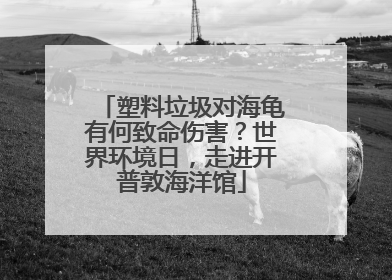 塑料垃圾对海龟有何致命伤害？世界环境日，走进开普敦海洋馆