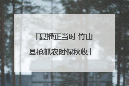 夏播正当时 竹山县抢抓农时保秋收