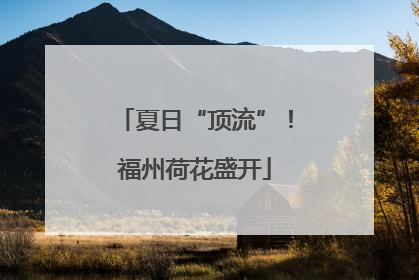 夏日“顶流”！福州荷花盛开