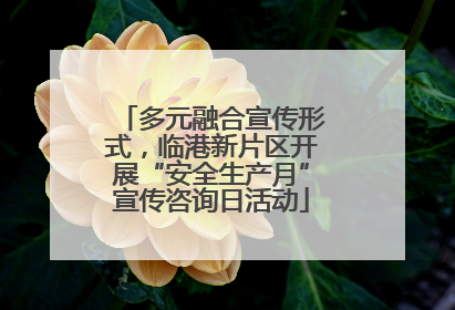 多元融合宣传形式，临港新片区开展“安全生产月”宣传咨询日活动