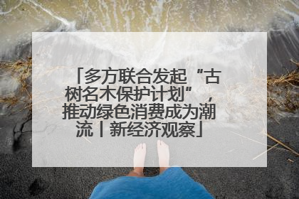 多方联合发起“古树名木保护计划”，推动绿色消费成为潮流丨新经济观察