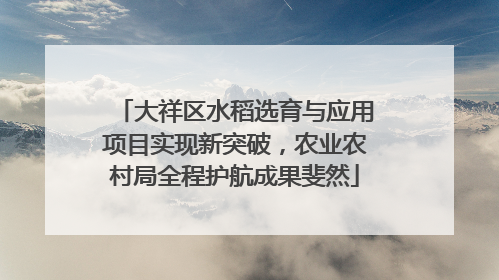 大祥区水稻选育与应用项目实现新突破，农业农村局全程护航成果斐然