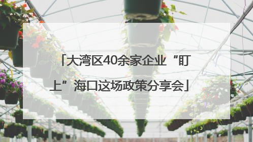 大湾区40余家企业“盯上”海口这场政策分享会
