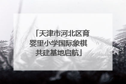 天津市河北区育婴里小学国际象棋共建基地启航