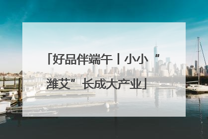 好品伴端午丨小小“潍艾”长成大产业