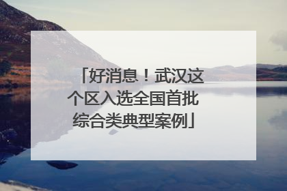 好消息！武汉这个区入选全国首批综合类典型案例