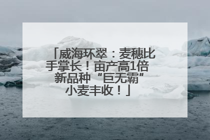 威海环翠：麦穗比手掌长！亩产高1倍 新品种“巨无霸”小麦丰收！