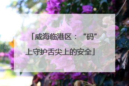 威海临港区：“码”上守护舌尖上的安全
