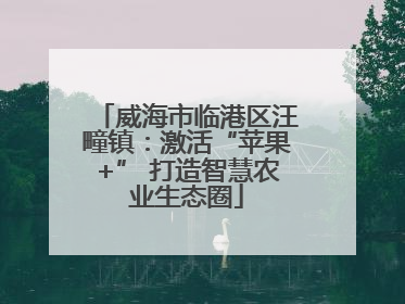 威海市临港区汪疃镇：激活“苹果+” 打造智慧农业生态圈