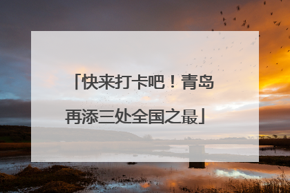 快来打卡吧！青岛再添三处全国之最