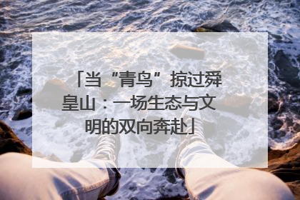 当“青鸟”掠过舜皇山：一场生态与文明的双向奔赴