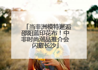 当非洲模特邂逅邵阳蓝印花布！中非时尚潮品推介会闪耀长沙