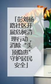 彭刘杨路社区开展危树清理行动，消除“头顶隐患”守护居民安全