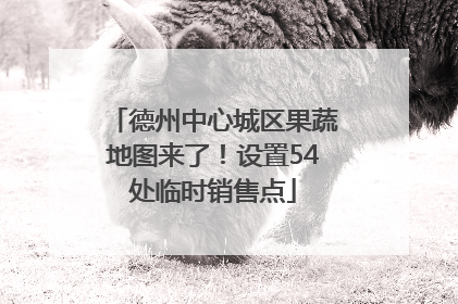 德州中心城区果蔬地图来了！设置54处临时销售点