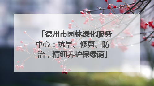 德州市园林绿化服务中心：抗旱、修剪、防治，精细养护保绿荫