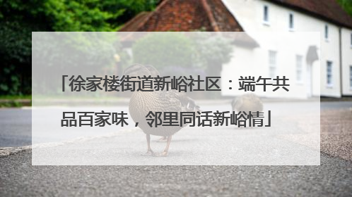 徐家楼街道新峪社区：端午共品百家味，邻里同话新峪情