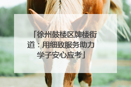 徐州鼓楼区牌楼街道：用细致服务助力学子安心应考
