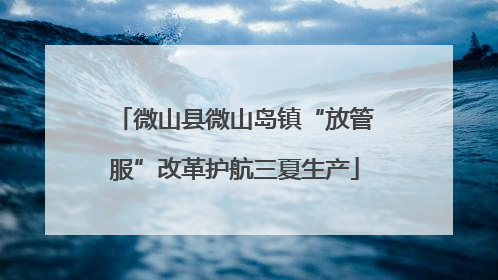 微山县微山岛镇“放管服”改革护航三夏生产