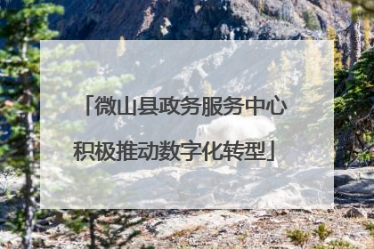 微山县政务服务中心积极推动数字化转型