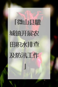 微山县驩城镇开展农田积水排查及防汛工作
