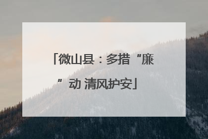 微山县：多措“廉”动 清风护安