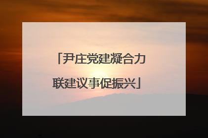 尹庄党建凝合力 联建议事促振兴