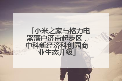 小米之家与格力电器落户济南起步区，中科新经济科创园商业生态升级