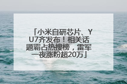 小米自研芯片、YU7齐发布！相关话题霸占热搜榜，雷军一夜涨粉超20万