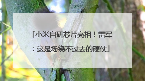 小米自研芯片亮相！雷军：这是场绕不过去的硬仗