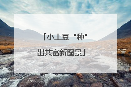 小土豆“种”出共富新图景