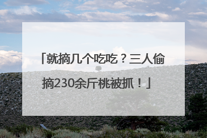 就摘几个吃吃？三人偷摘230余斤桃被抓！
