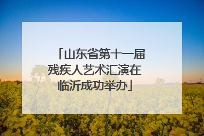 山东省第十一届残疾人艺术汇演在临沂成功举办