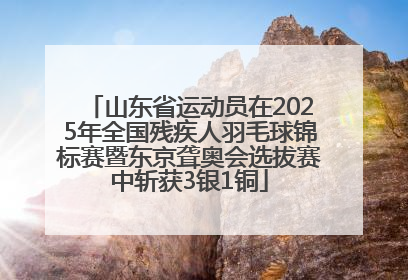 山东省运动员在2025年全国残疾人羽毛球锦标赛暨东京聋奥会选拔赛中斩获3银1铜