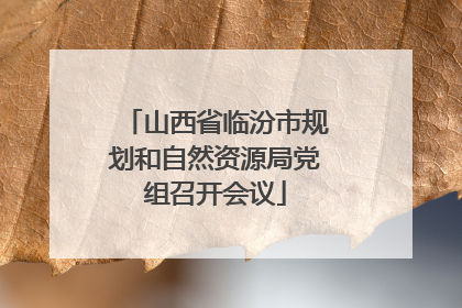 山西省临汾市规划和自然资源局党组召开会议
