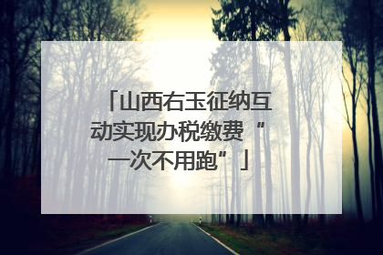 山西右玉征纳互动实现办税缴费“一次不用跑”