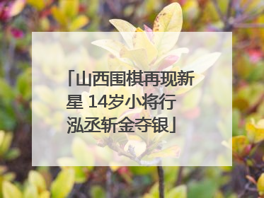 山西围棋再现新星 14岁小将行泓丞斩金夺银