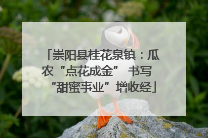 崇阳县桂花泉镇：瓜农“点花成金” 书写“甜蜜事业”增收经